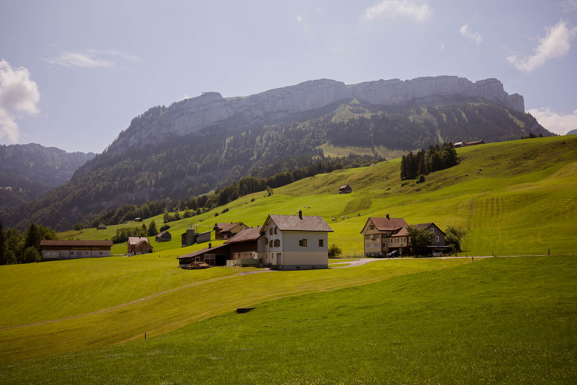 Export x3 5D4 8599 Hochzeit 2019 Jenny & Daniel